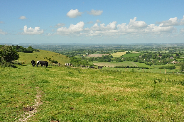 07 06 15_4889.JPG - FONTMELL DOWN, DORSET - 7.6.15